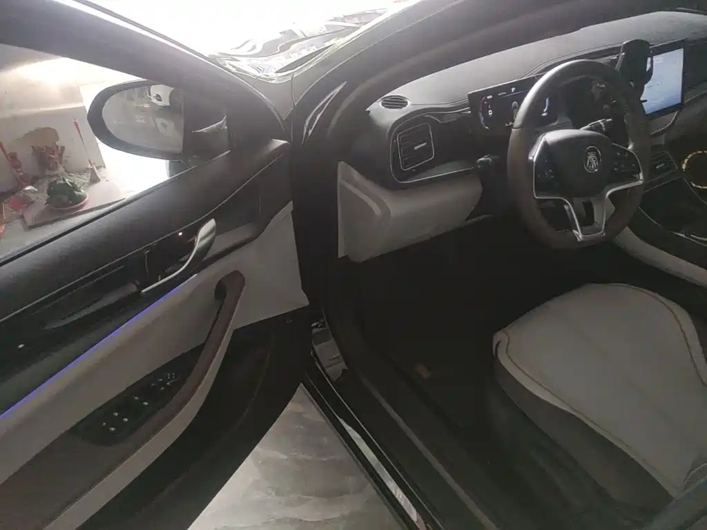 BYD Qin PLUS — миниатюра 16