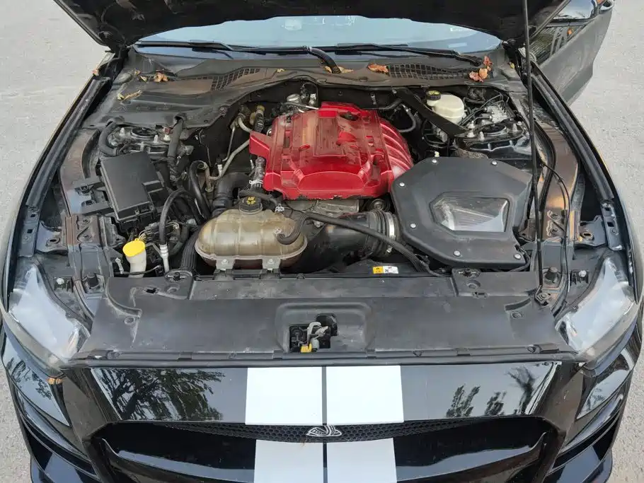 Ford Mustang — миниатюра 10