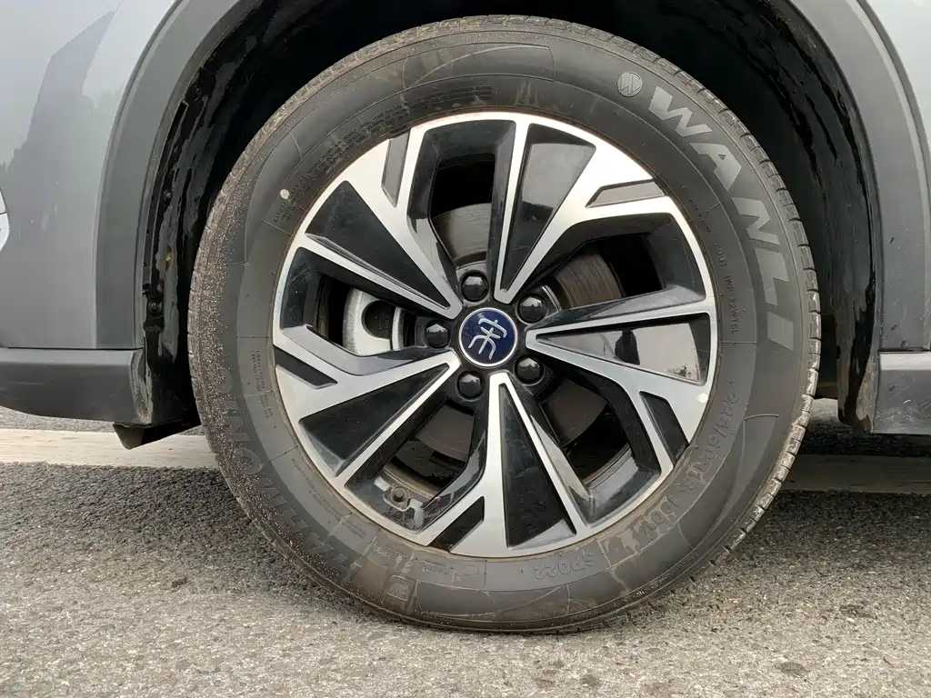 BYD SONGJIANG NEW ENERGY