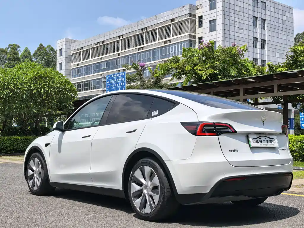 Tesla Model Y — миниатюра 10