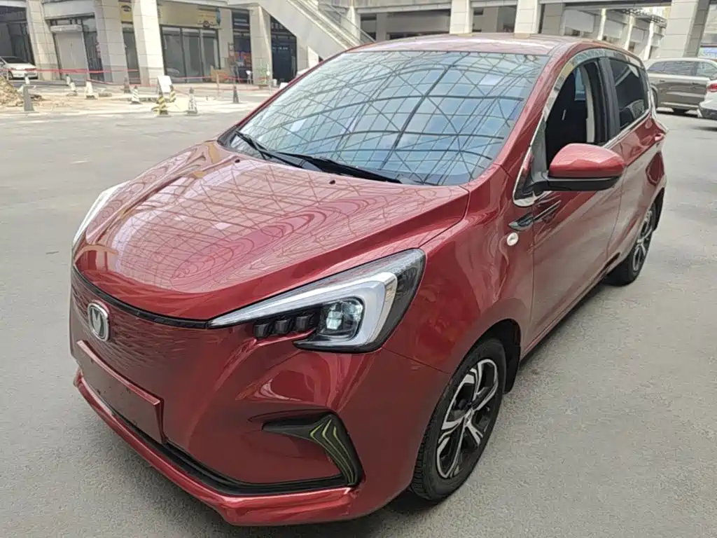 2020 Changan Benni EC/EV - zdjęcie 1 z 25