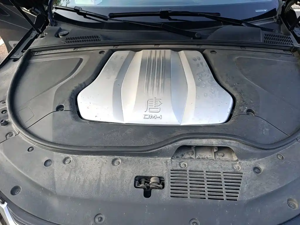 BYD Tang New Energy — миниатюра 11