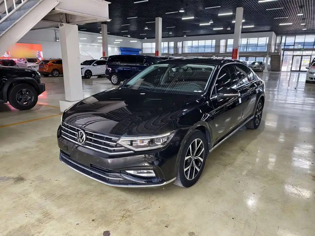 Volkswagen Magotan — миниатюра 2