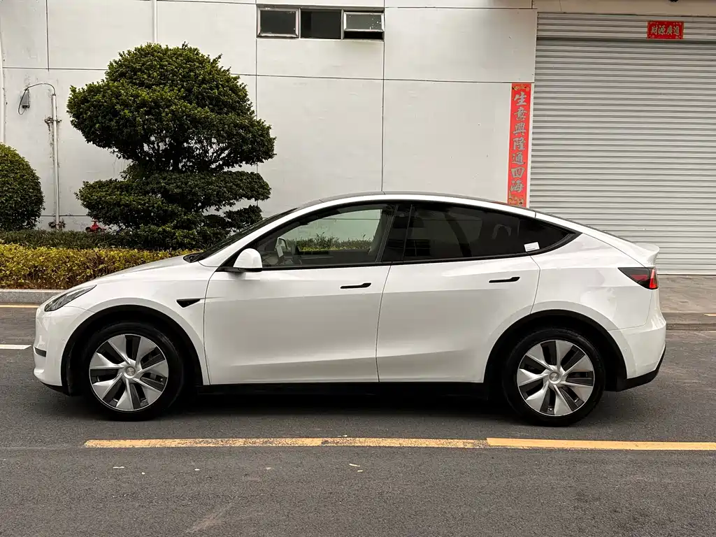 Tesla Model Y — миниатюра 3