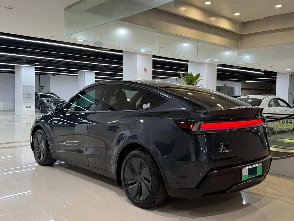 Tesla Model Y — миниатюра 9