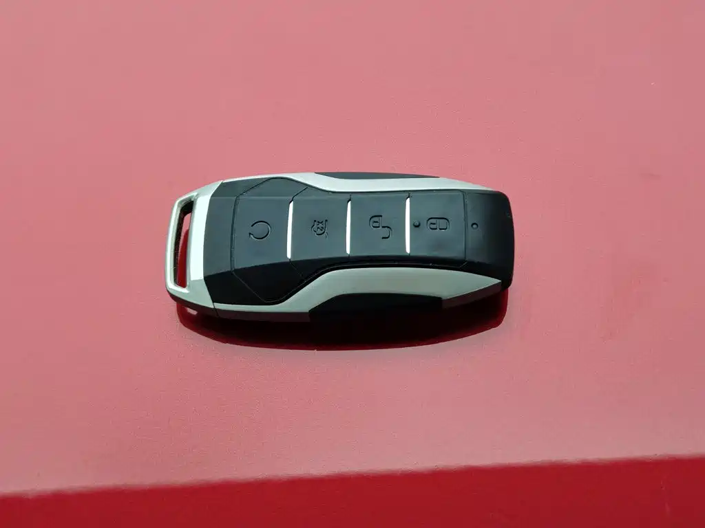 BYD Tang New Energy — миниатюра 19