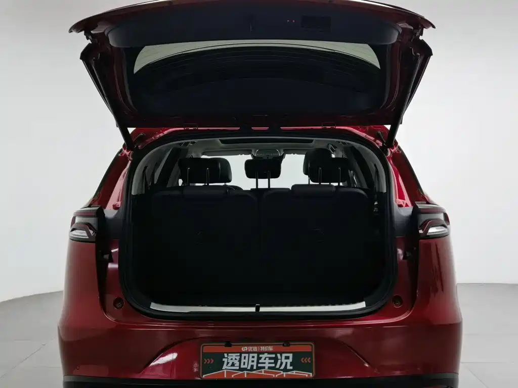 BYD Tang New Energy — миниатюра 16