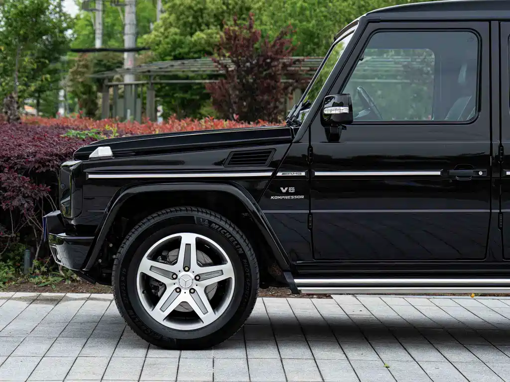 Mercedes-Benz G-Class A MG G AMG 2009 AMG G 55
