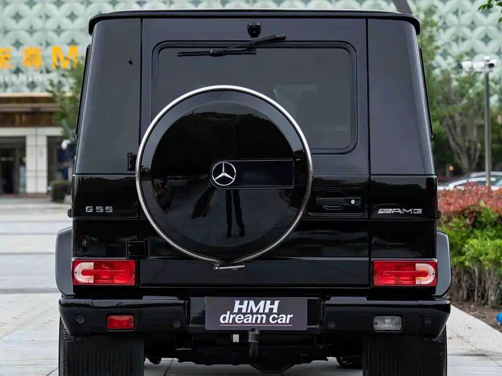 Mercedes-Benz G-Class A MG G AMG 2009 AMG G 55
