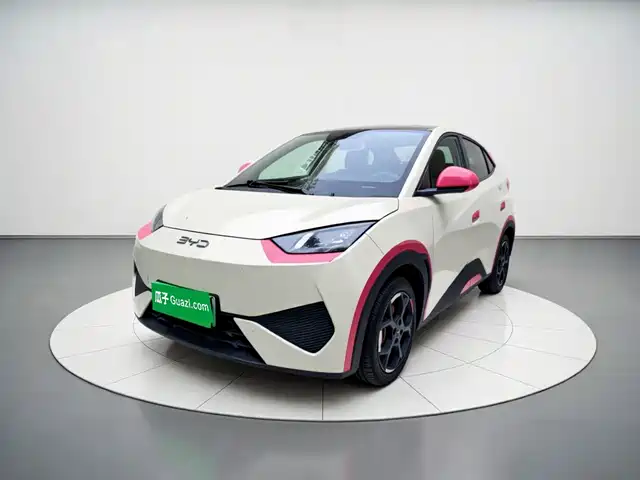 2025 BYD Seagull
