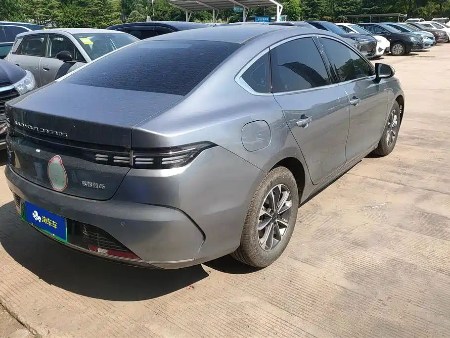 BYD Destroyer 05 2024 DM-i 55KM Luxury