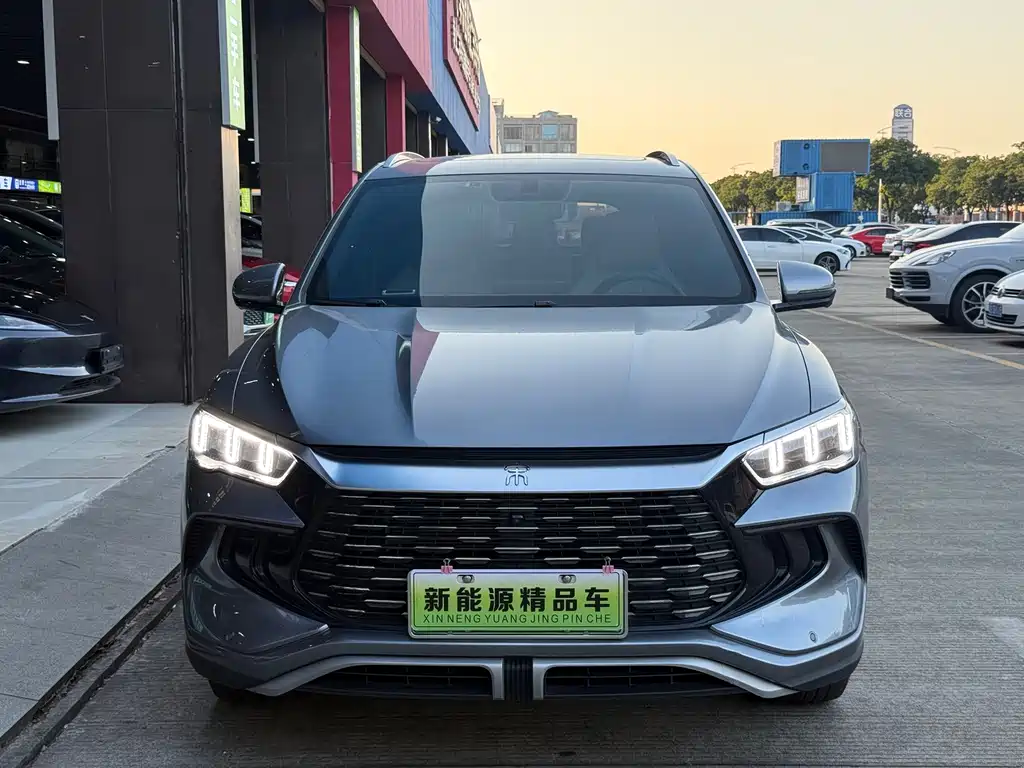 BYD Pro New Energy — миниатюра 2