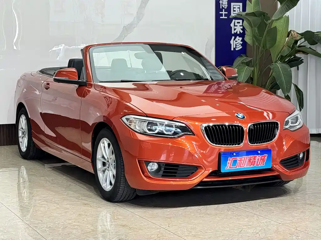 BMW 2 Series (Import) — миниатюра 6