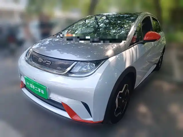 2022 BYD Dolphin