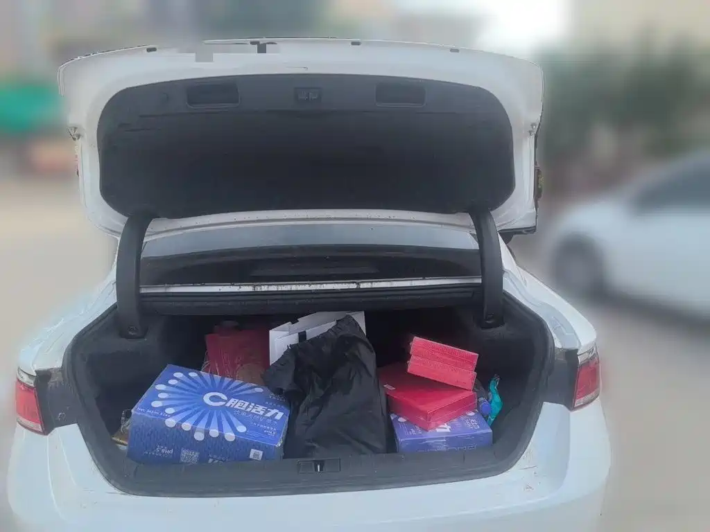 Geely Borui Hybrid — миниатюра 10