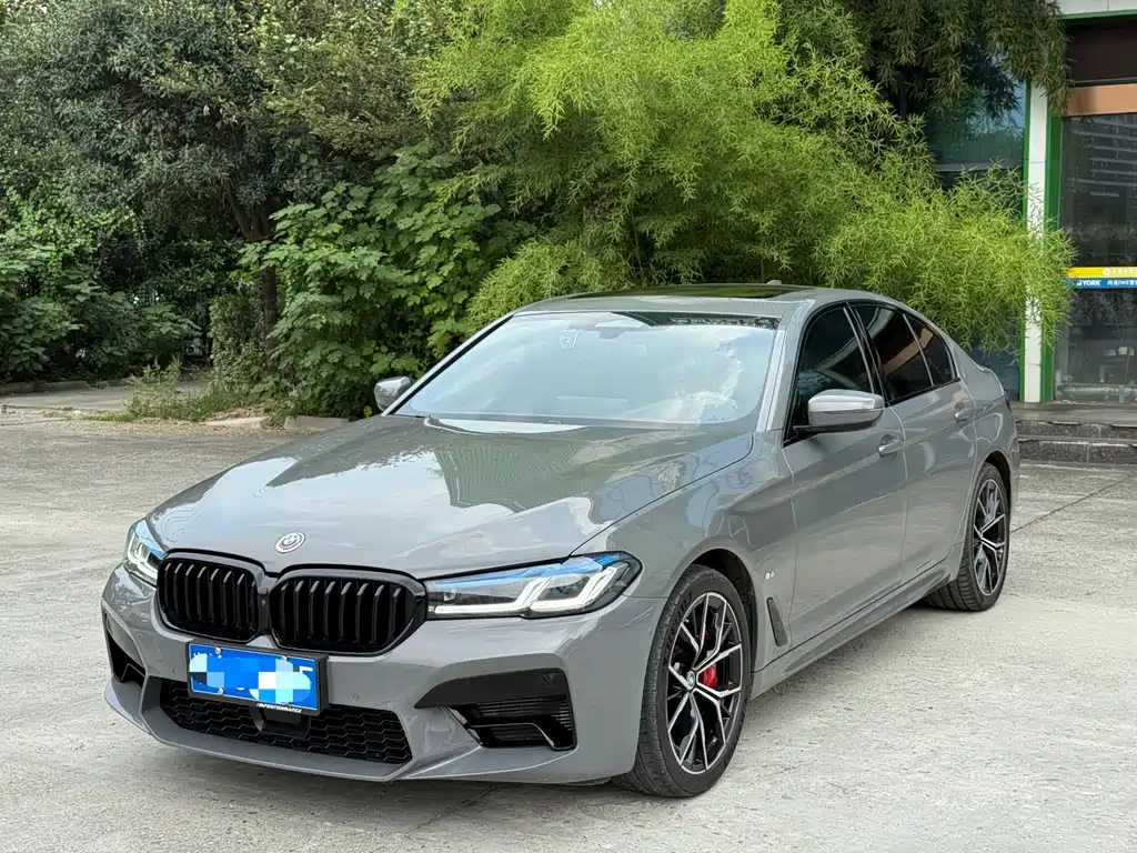 BMW 5 Series (Import)