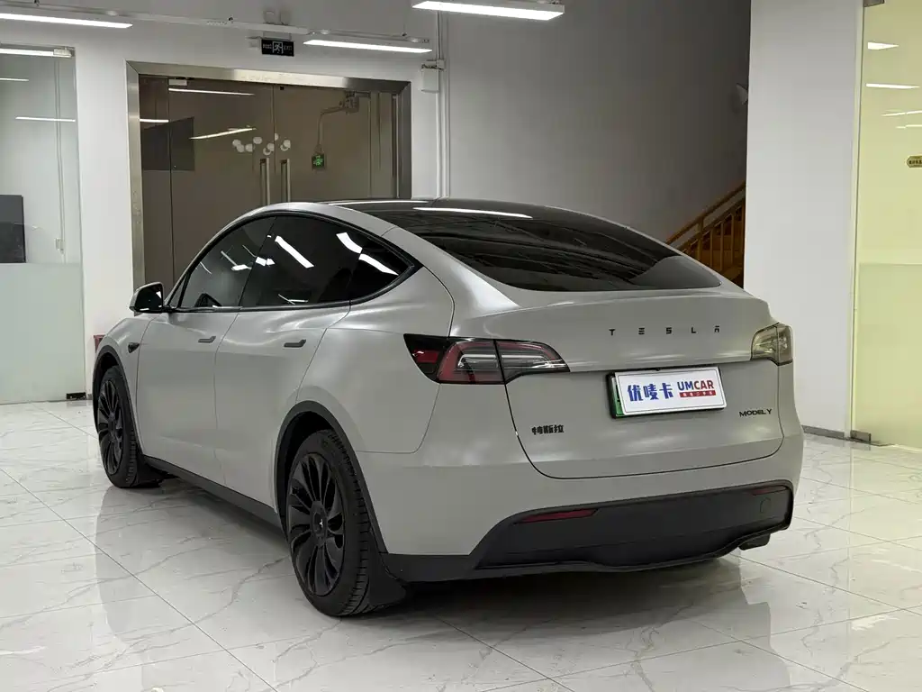 Tesla Model Y — миниатюра 4