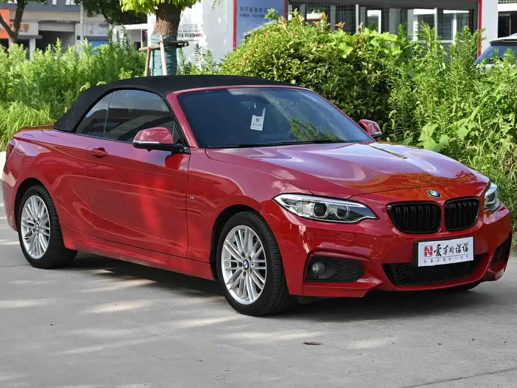 BMW 2 Series (Import) — миниатюра 3