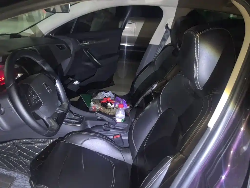 DS DS 5LS — миниатюра 16