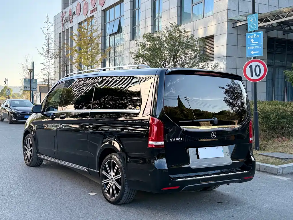 Mercedes-Benz V-Class V 260 L Long Wheelbase Luxury Edition, фото 6