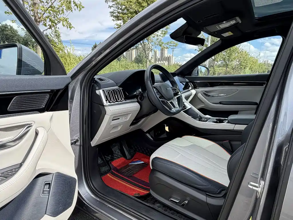 BYD PLUS — миниатюра 9
