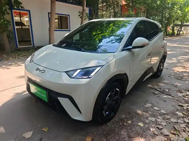 2024 BYD Seagull