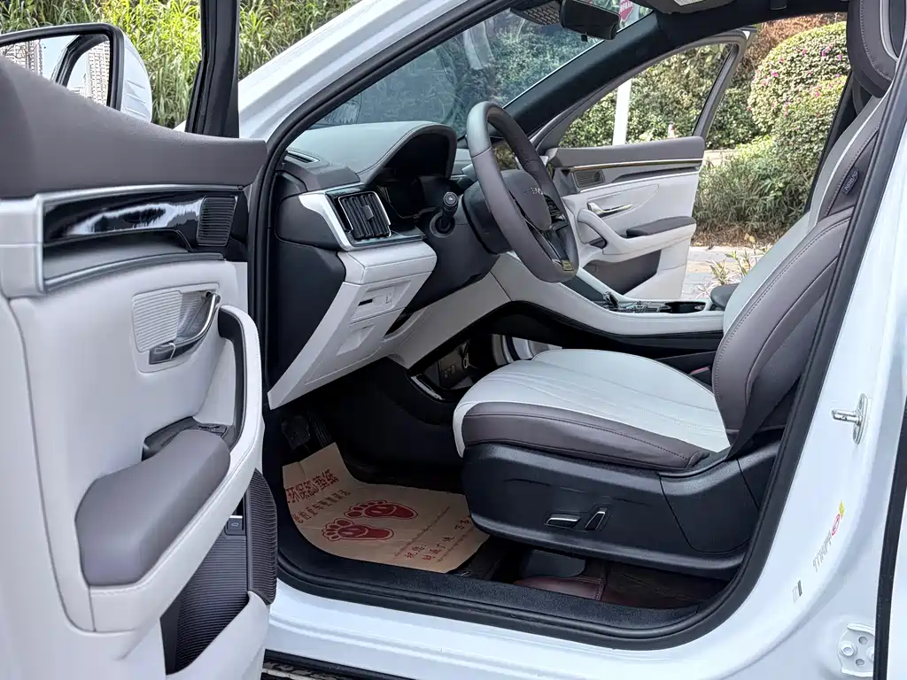 BYD SONGJIANG NEW ENERGY