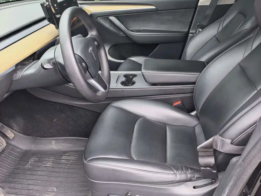 Tesla Model Y — миниатюра 3