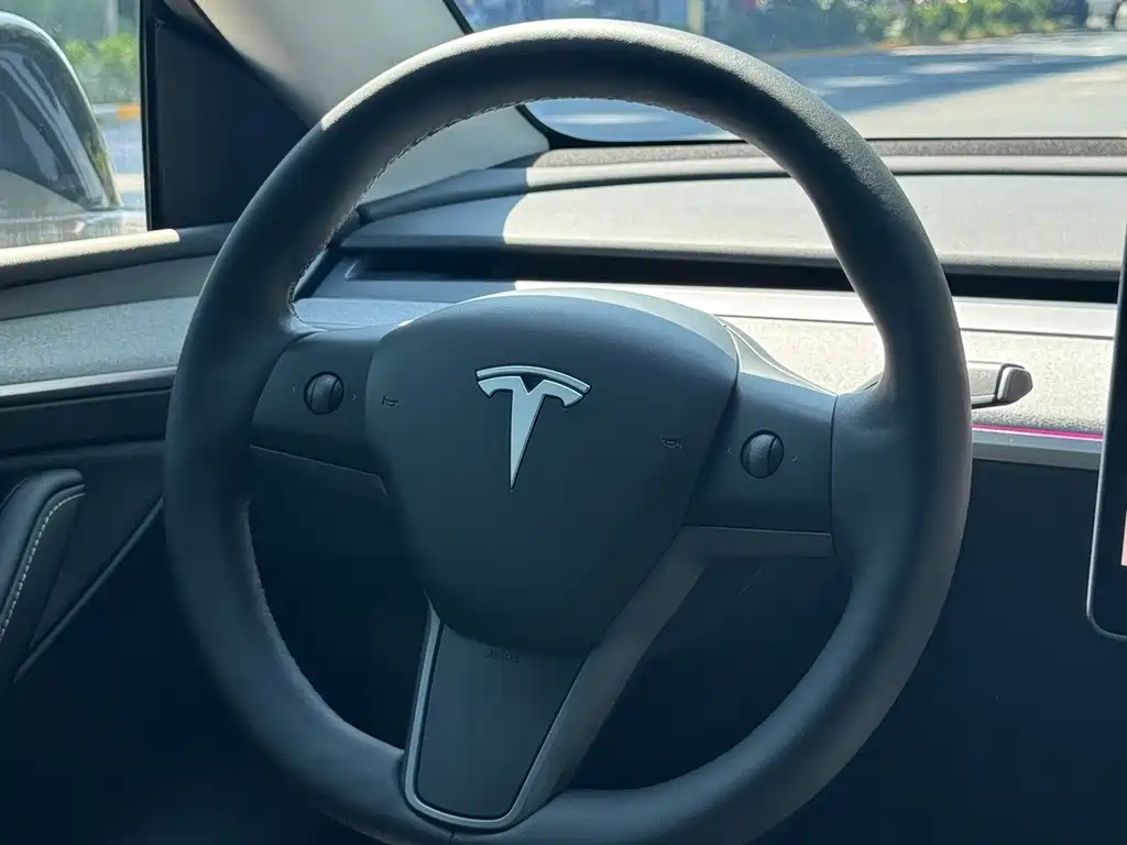 Tesla Model Y — миниатюра 24