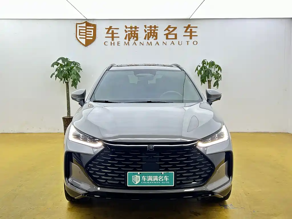BYD Tang New Energy — миниатюра 2