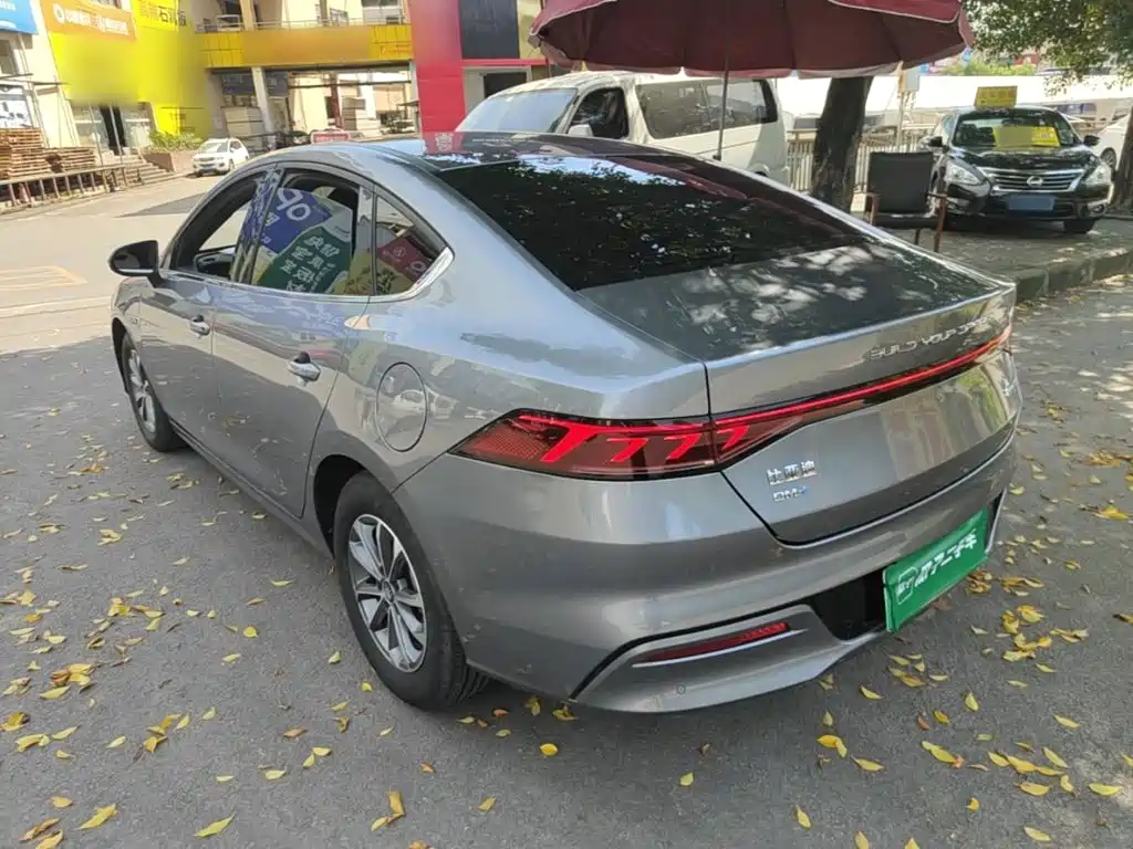 BYD Qin Plus PLUS 2024 DM-i 55KM Lead