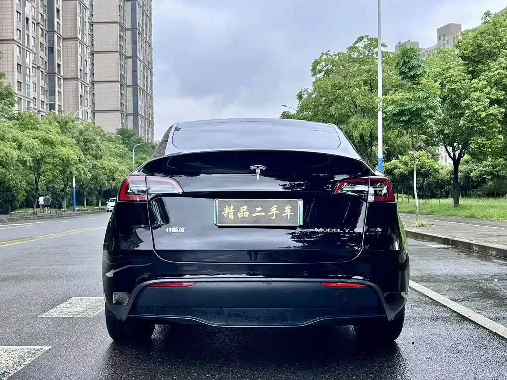 Tesla Model Y — миниатюра 4