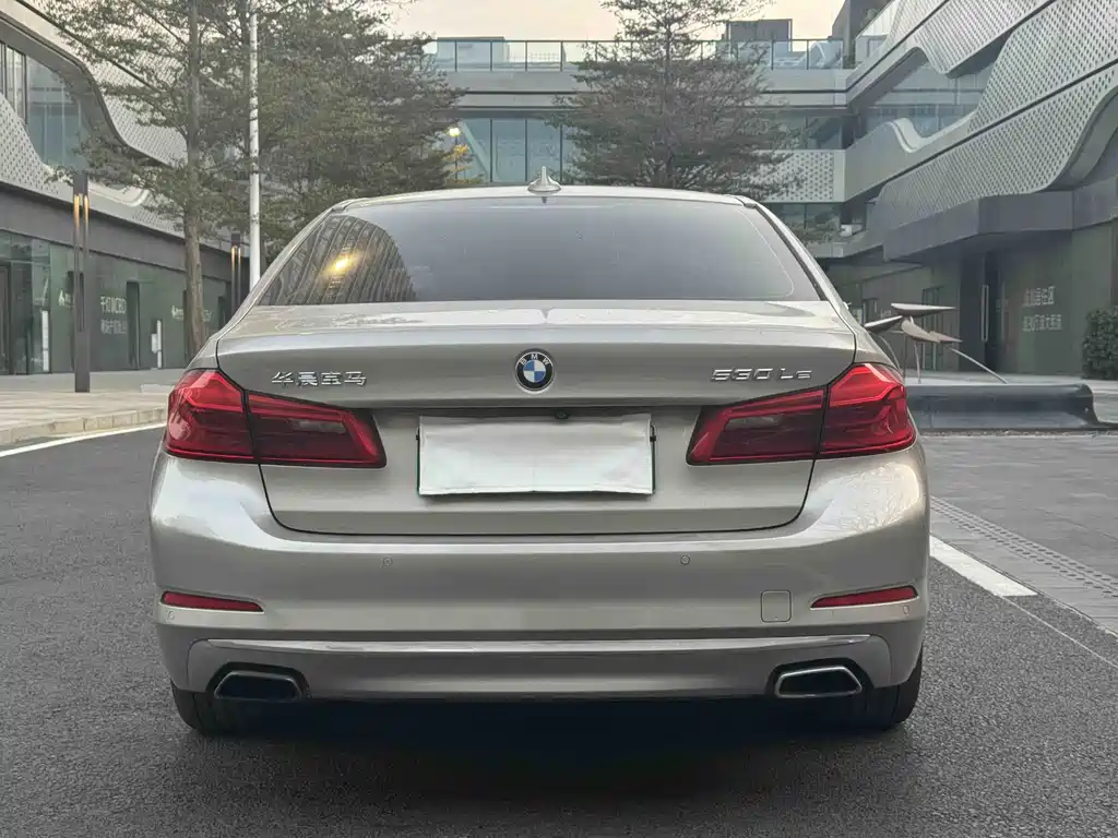 BMW 5 SERIES NEW ENERGY