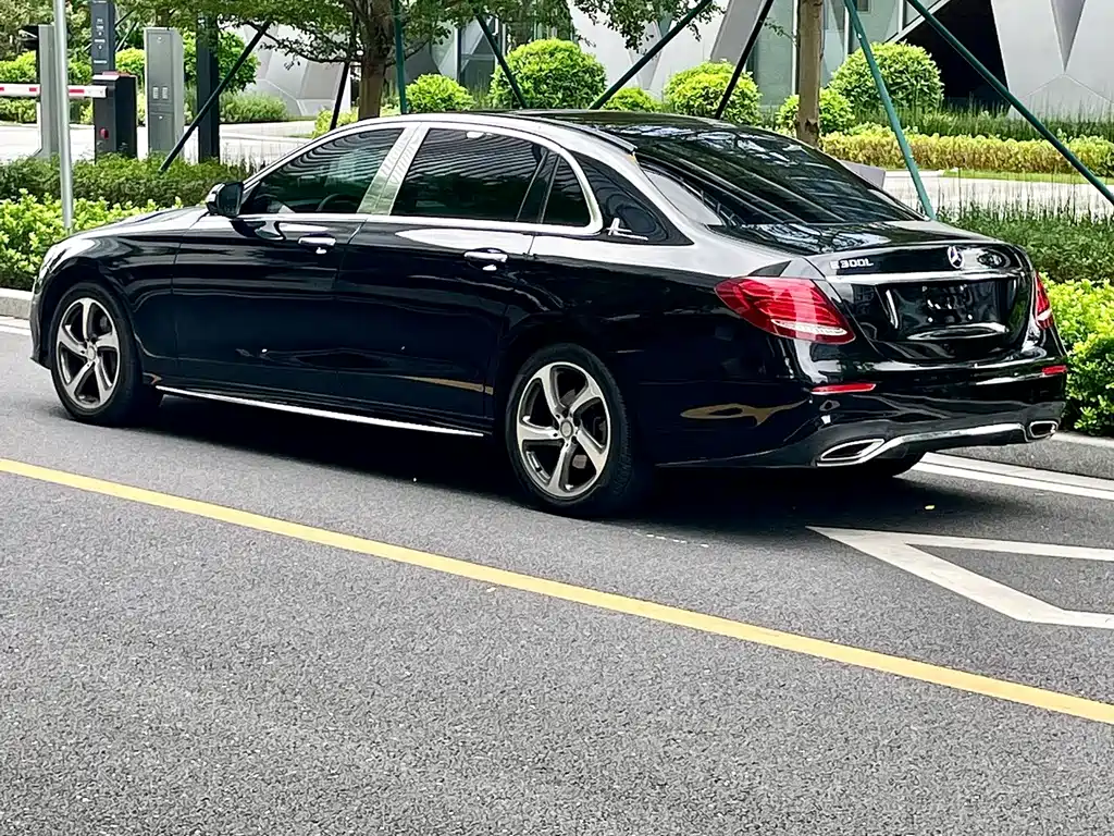 Mercedes-Benz E-Class E 300 L Luxury Type, фото 20