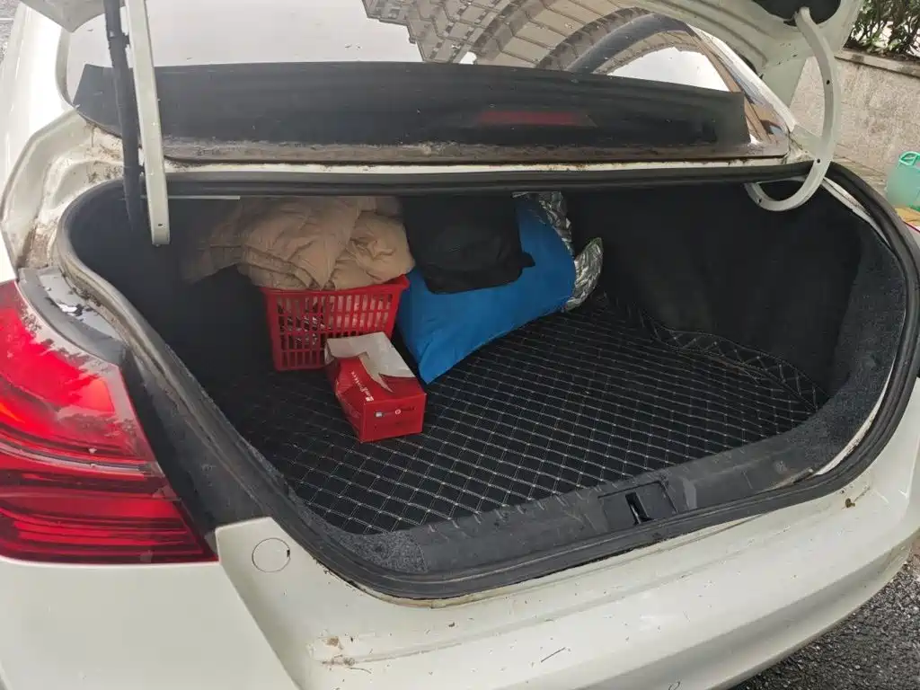 Geely Emgrand — миниатюра 10