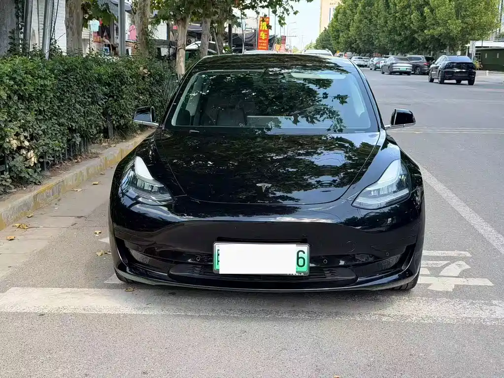 Tesla Model 3 — миниатюра 2