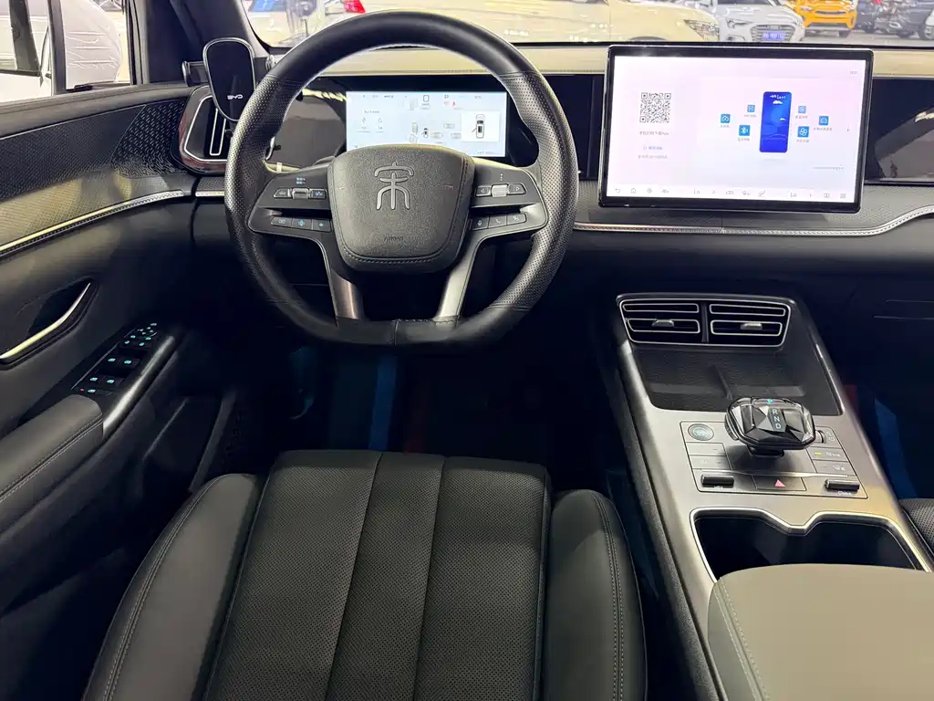 BYD Pro New Energy - фото 9