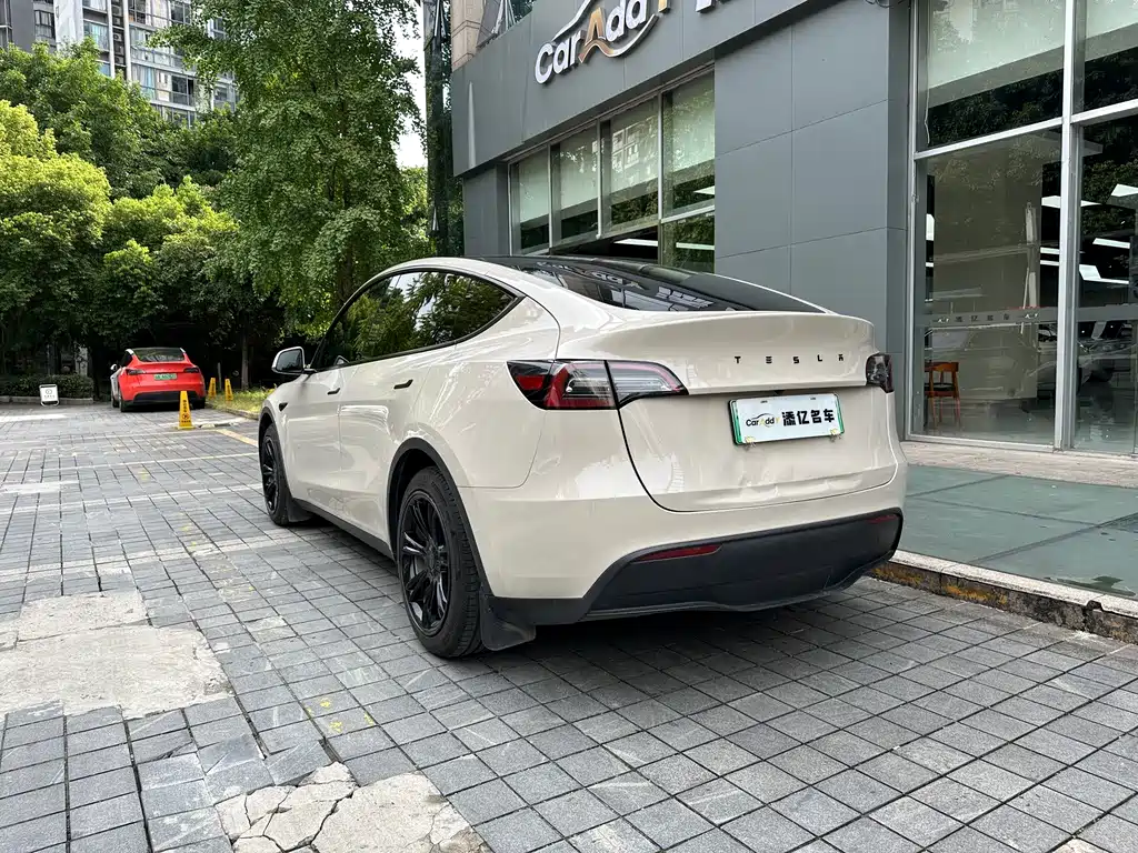 Tesla Model Y — миниатюра 8