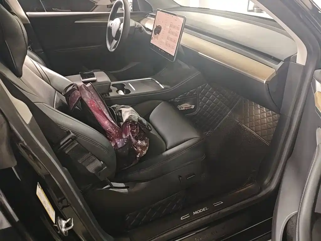 Tesla Model Y — миниатюра 25