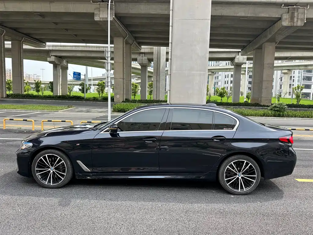 BMW 5 Series 5 2020 530Li Lead M Sport