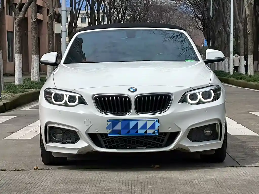 BMW 2 Series 2 2018 225i M Sport