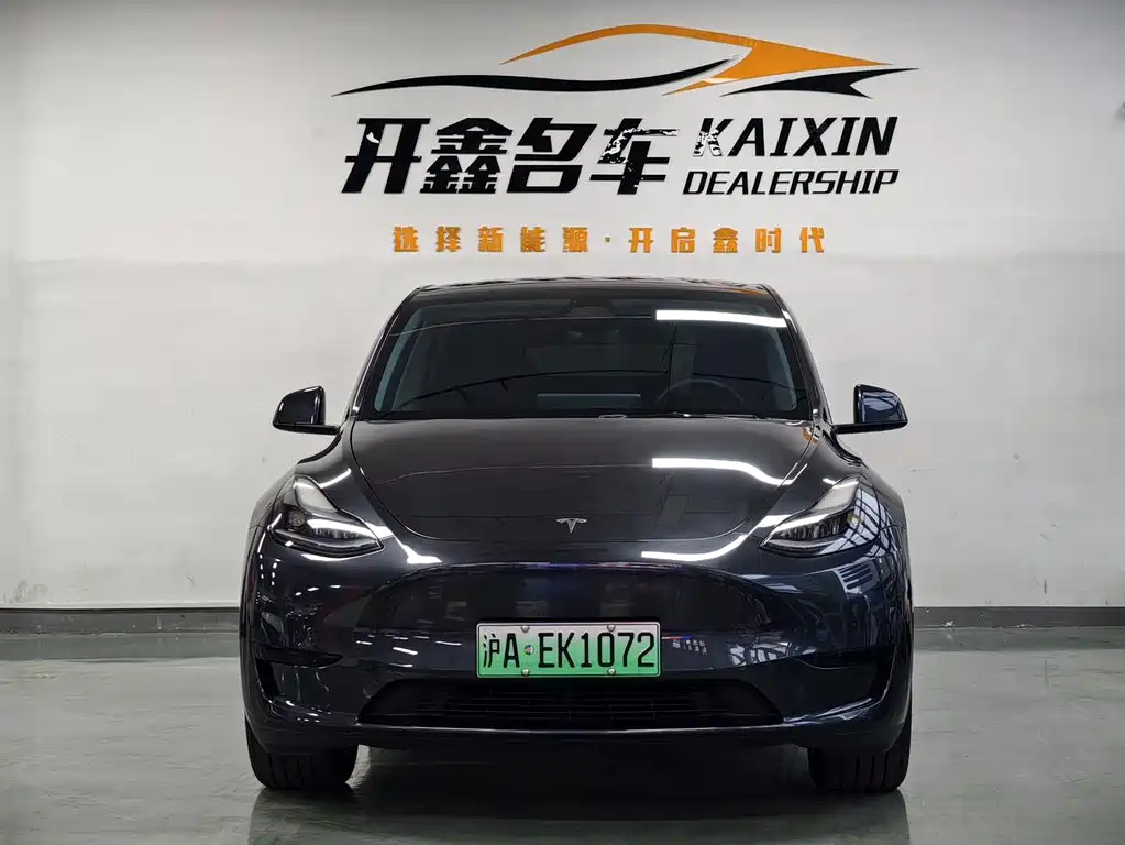 Tesla Model Y — миниатюра 2