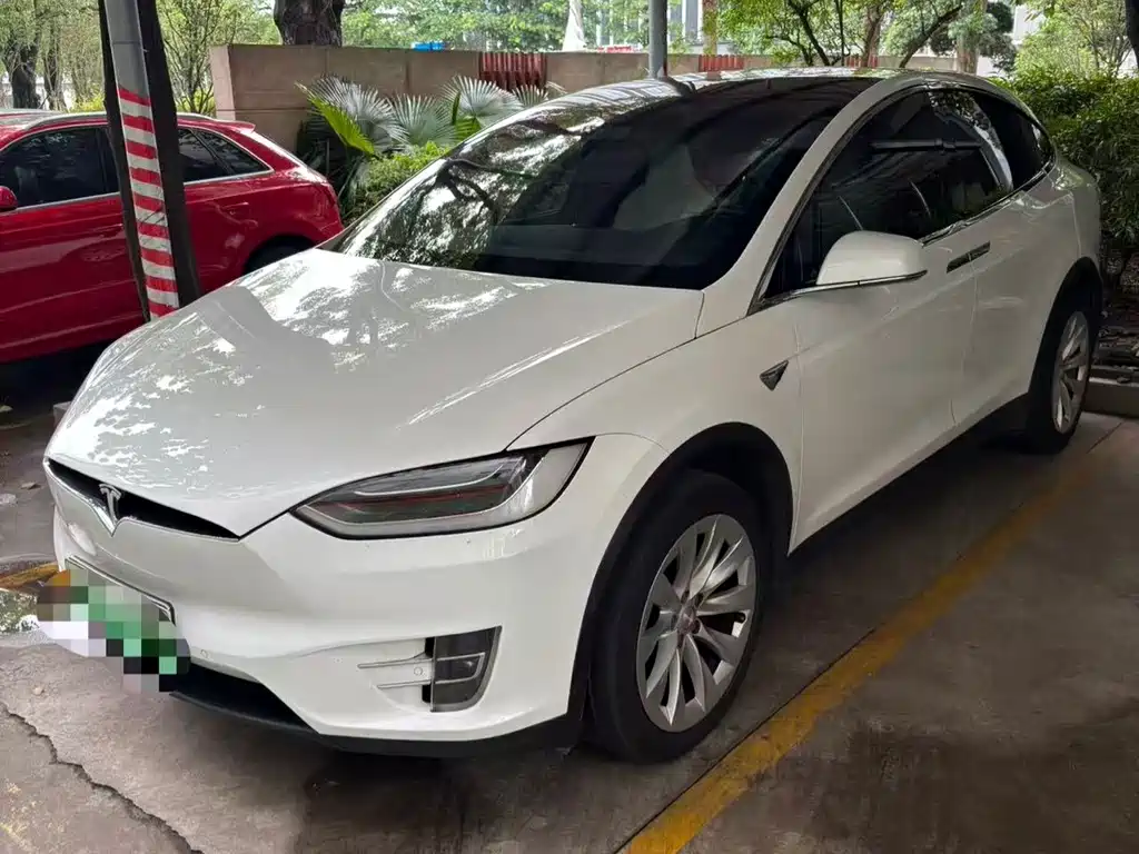 Tesla Model X — миниатюра 2