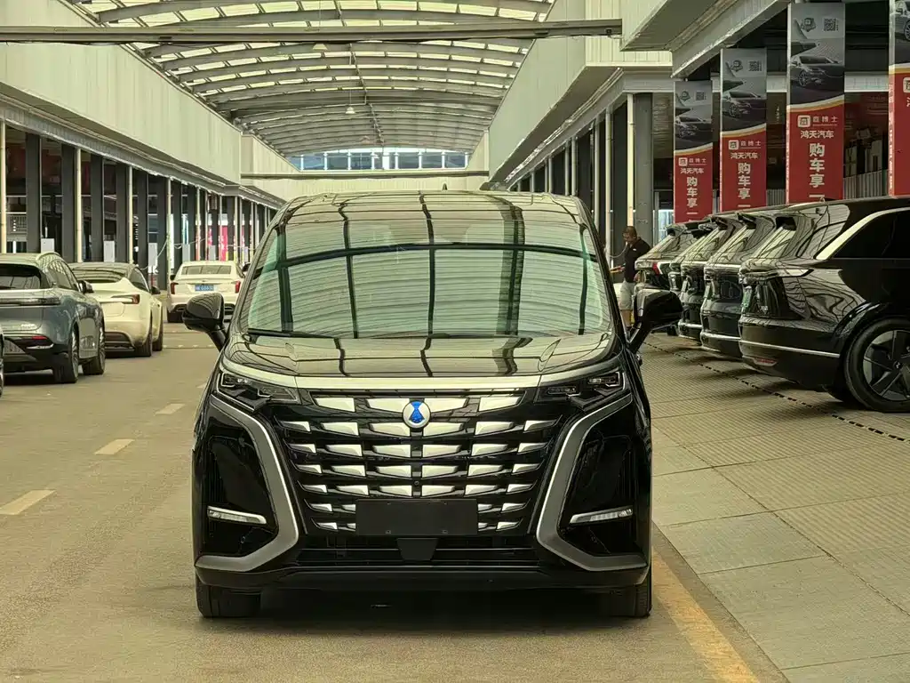 Denza Denza D9 — миниатюра 2