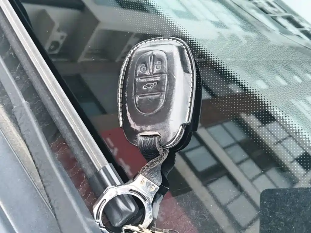 Maxus G50 — миниатюра 9