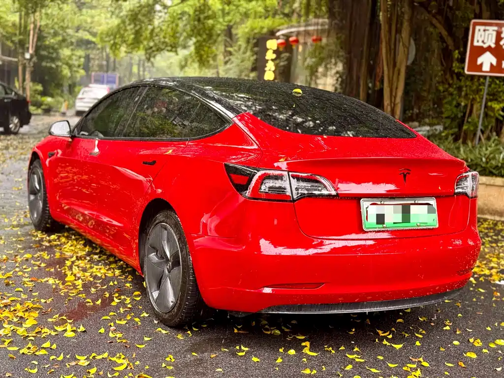 Tesla Model 3 — миниатюра 16