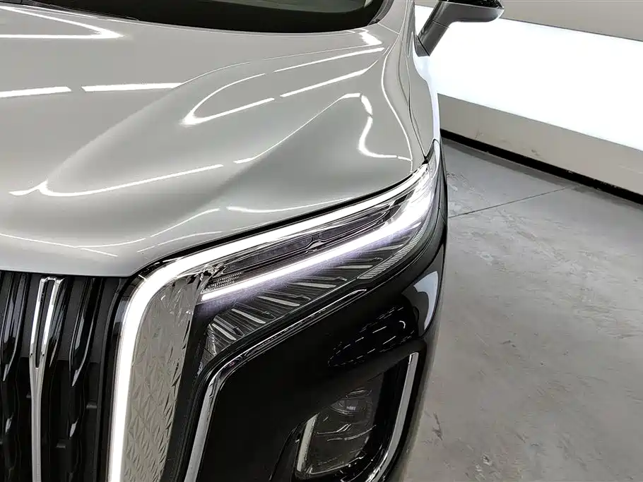 Hongqi HQ9 PHEV 2024 2.0T