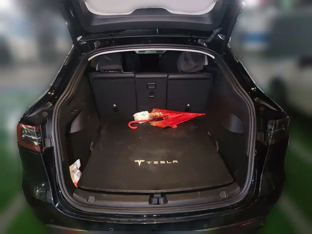 Tesla Model Y — миниатюра 20