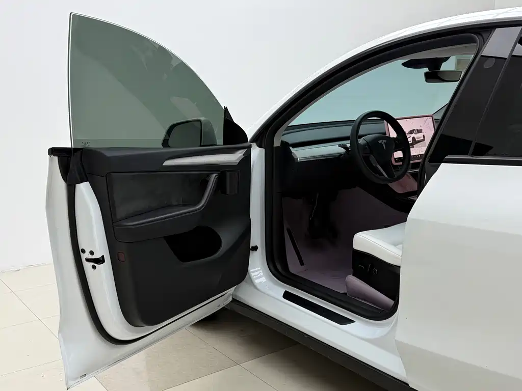 Tesla Model Y — миниатюра 4