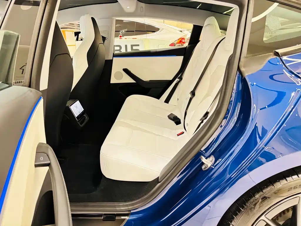 Tesla Model 3 — миниатюра 19